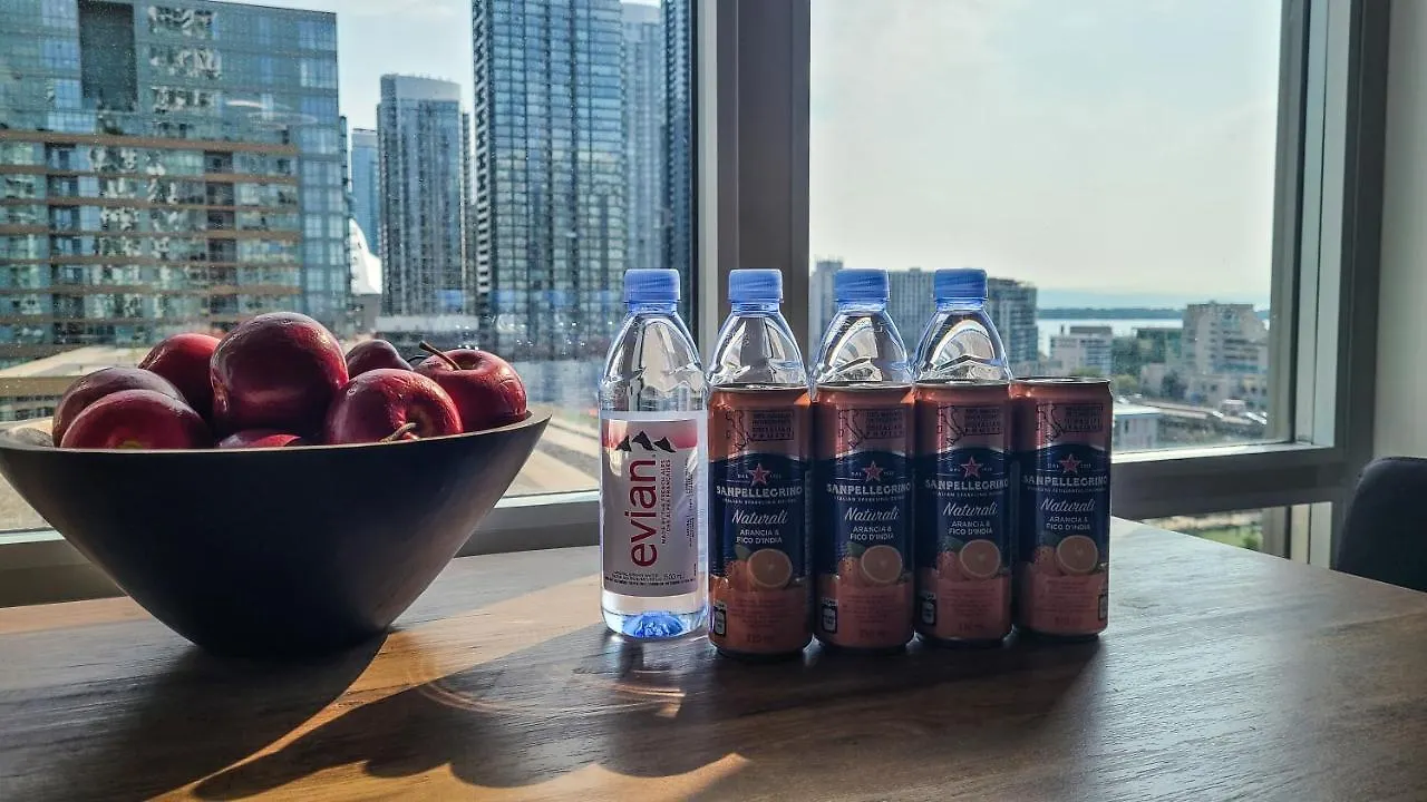 토론토 151 Dan Leckie Way 아파트